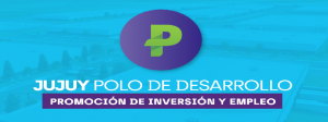 polo-2.1